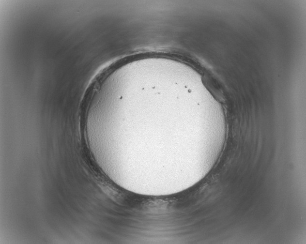 X0000063511214200602172137