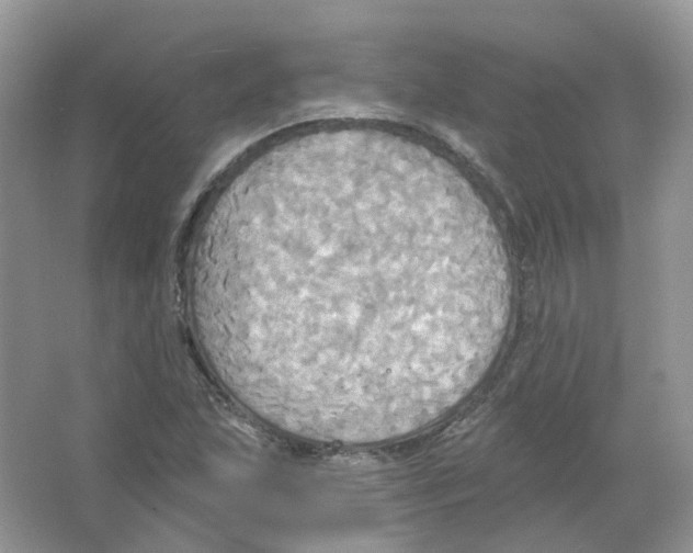 X0000063511215200602172137