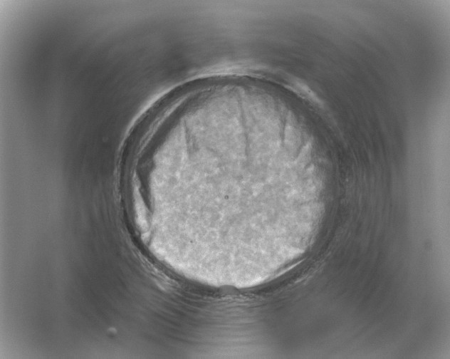 X0000063511216200602172137