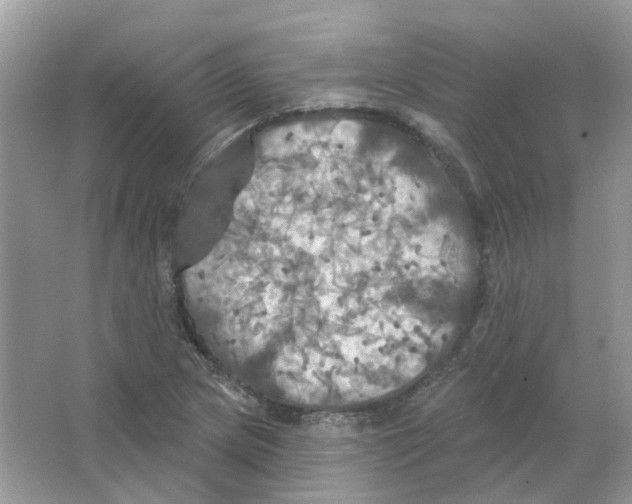 X0000063511217200602172137