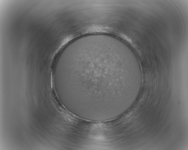 X0000063511219200602172137