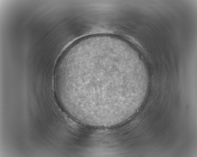 X0000063511220200602172137