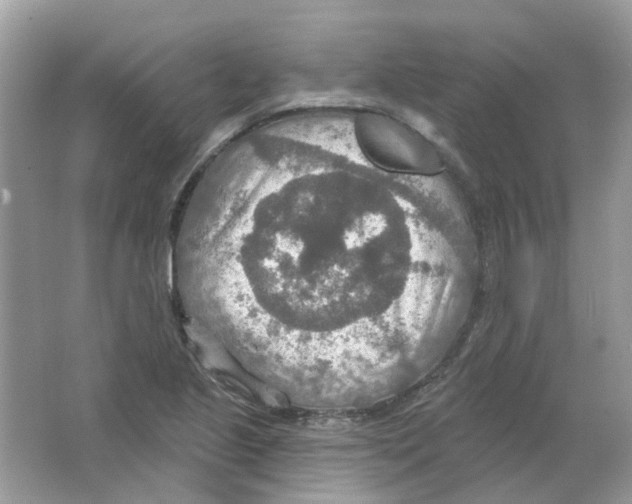 X0000063511221200602172137