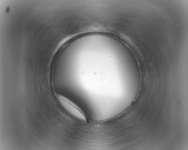 X0000063511222200602172137