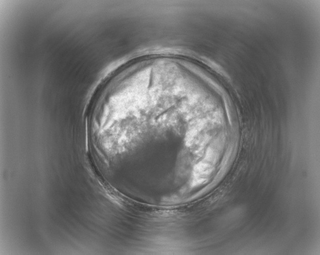 X0000063511223200602172137