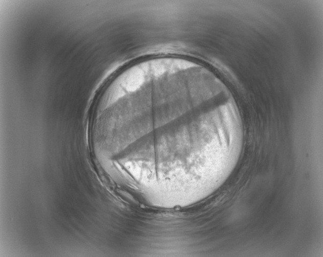 X0000063511224200602172137