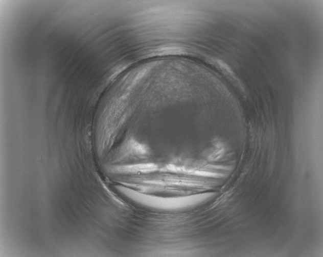 X0000063511225200602172137