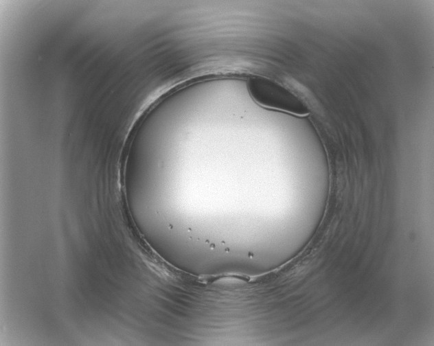 X0000063511226200602172137