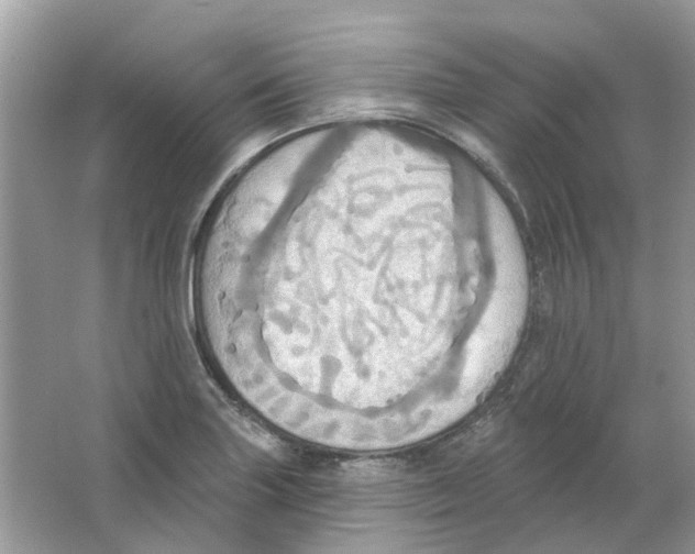 X0000063511227200602172137