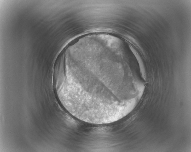 X0000063511228200602172137