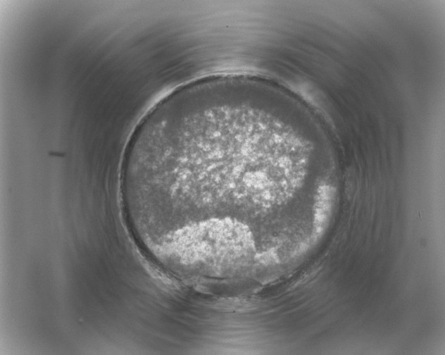 X0000063511229200602172137