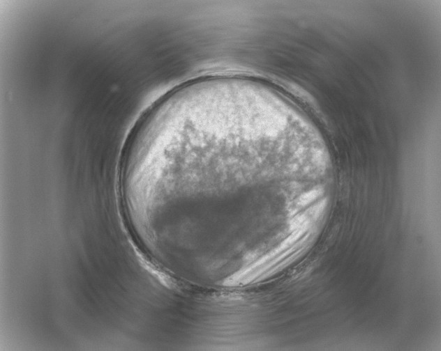 X0000063511231200602172137