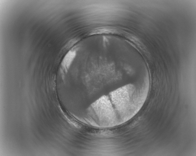 X0000063511233200602172137