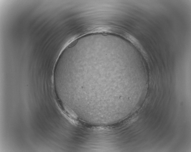 X0000063511234200602172137