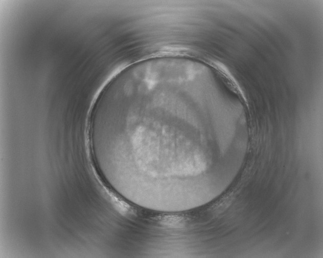 X0000063511235200602172137