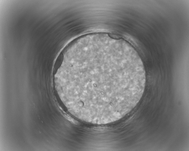 X0000063511236200602172137