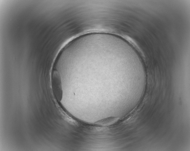 X0000063511238200602172137