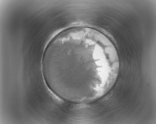 X0000063511239200602172137