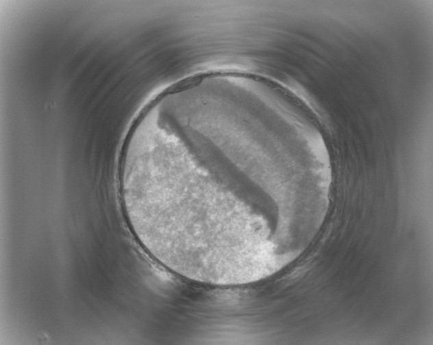 X0000063511240200602172137