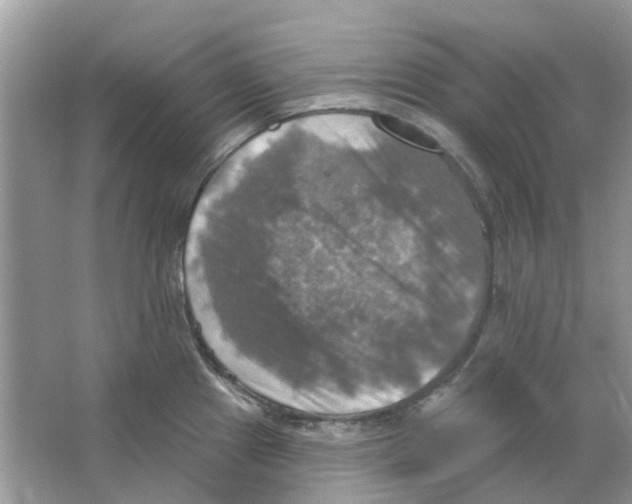 X0000063511241200602172137