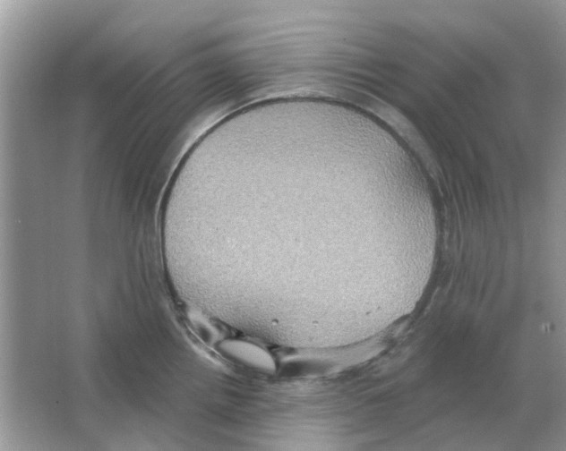 X0000063511242200602172137