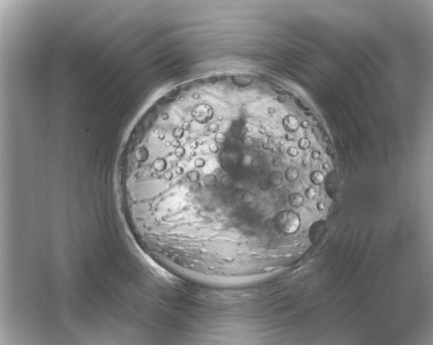 X0000063511243200602172137