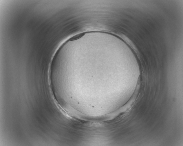 X0000063511246200602172137