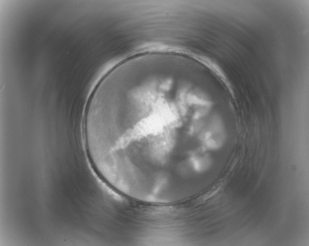 X0000063511247200602172137