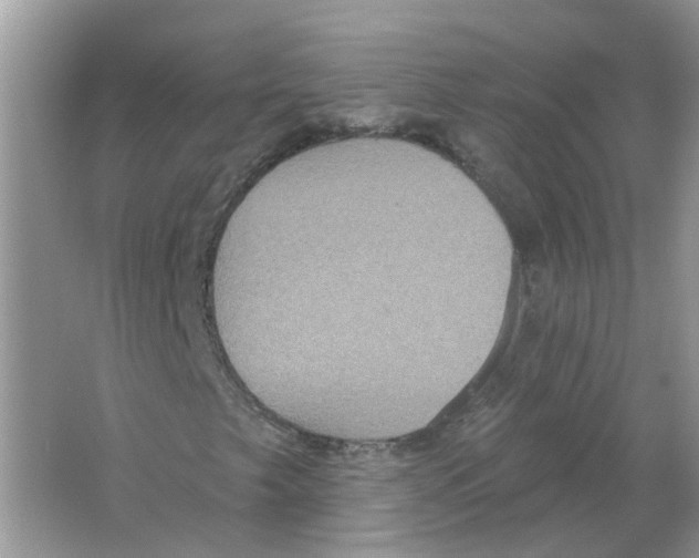 X0000063511249200602172136