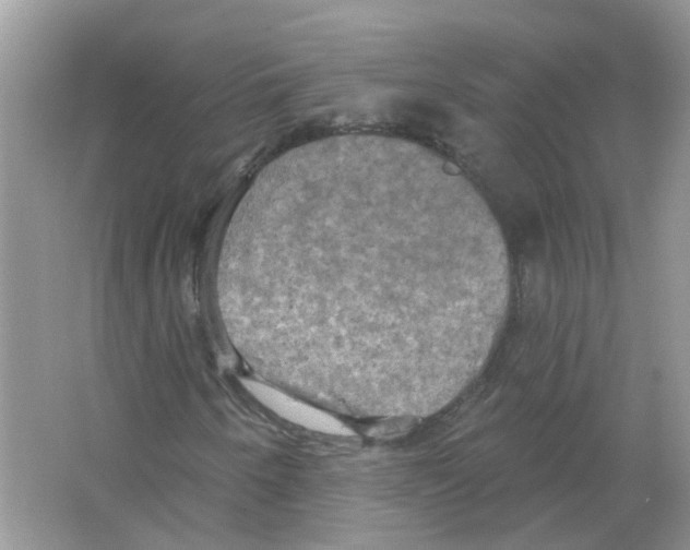 X0000063511250200602172136