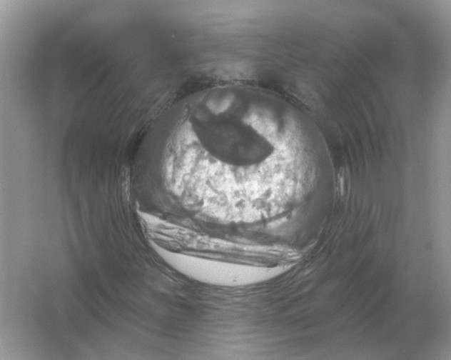 X0000063511251200602172136