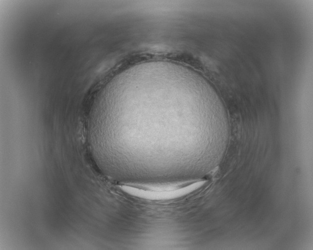 X0000063511253200602172136