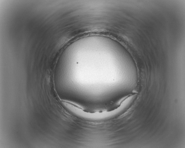 X0000063511257200602172136