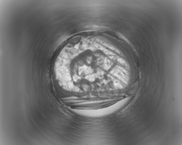 X0000063511259200602172136