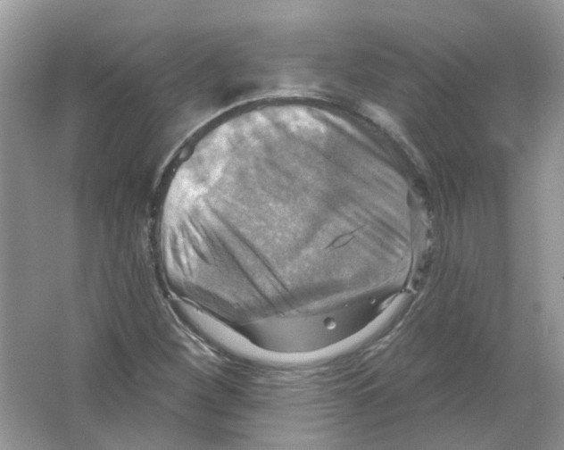 X0000063511260200602172136