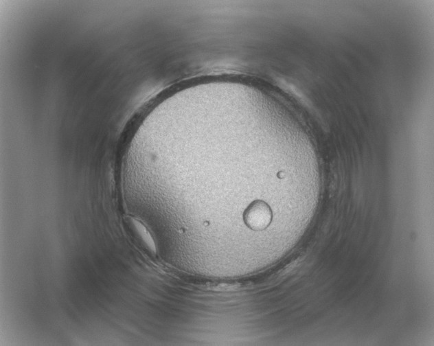 X0000063511261200602172136