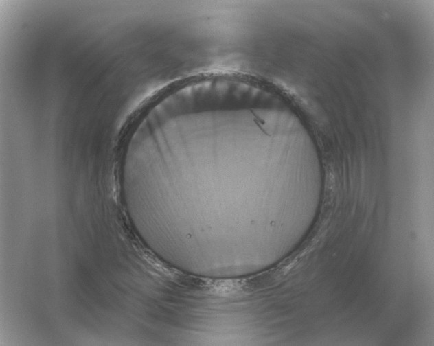 X0000063511262200602172136