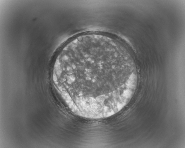 X0000063511263200602172136