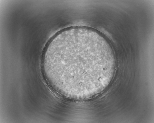 X0000063511264200602172136