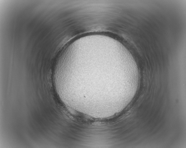 X0000063511265200602172136