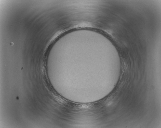 X0000063511266200602172136