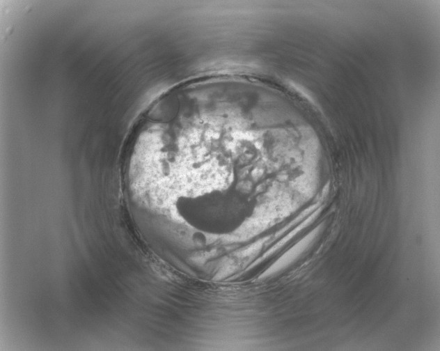 X0000063511267200602172136