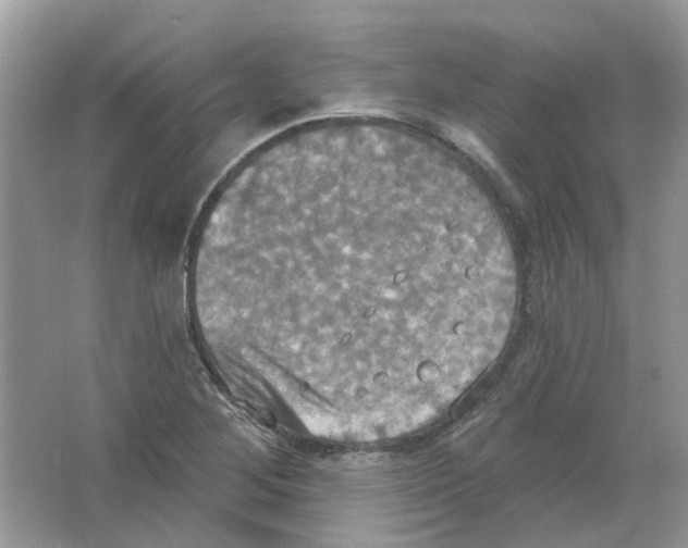 X0000063511268200602172136