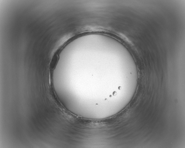 X0000063511269200602172136