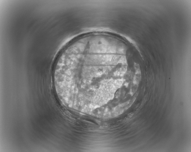 X0000063511271200602172136