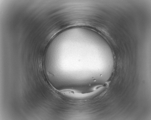 X0000063511273200602172136