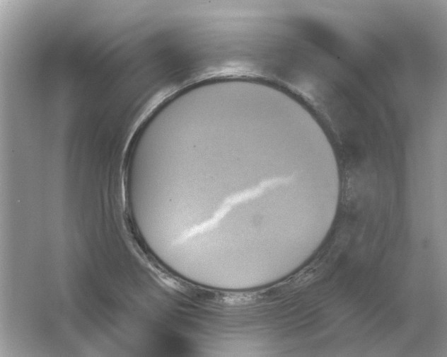 X0000063511274200602172136