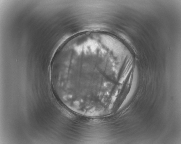 X0000063511275200602172136