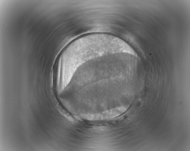 X0000063511276200602172136