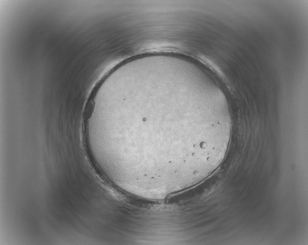 X0000063511277200602172136